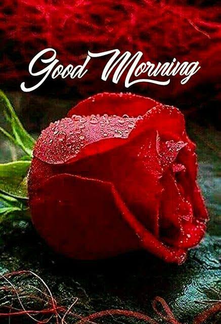 good morning!!!